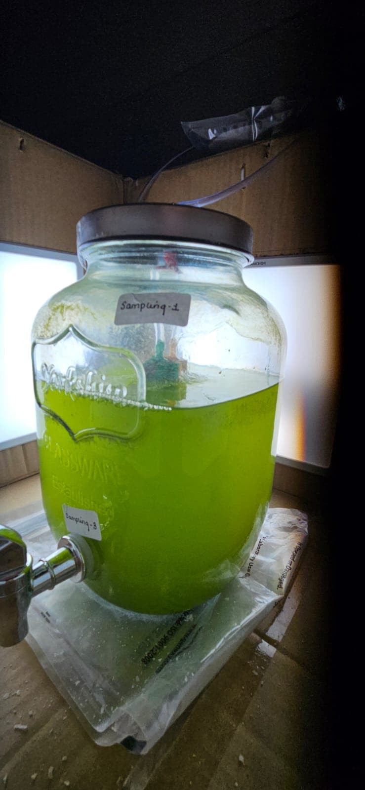 Algal Biomanufacturing & Decarbonisation Image 1