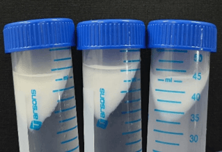 Biomaterials & Regenerative Engineering Image 2