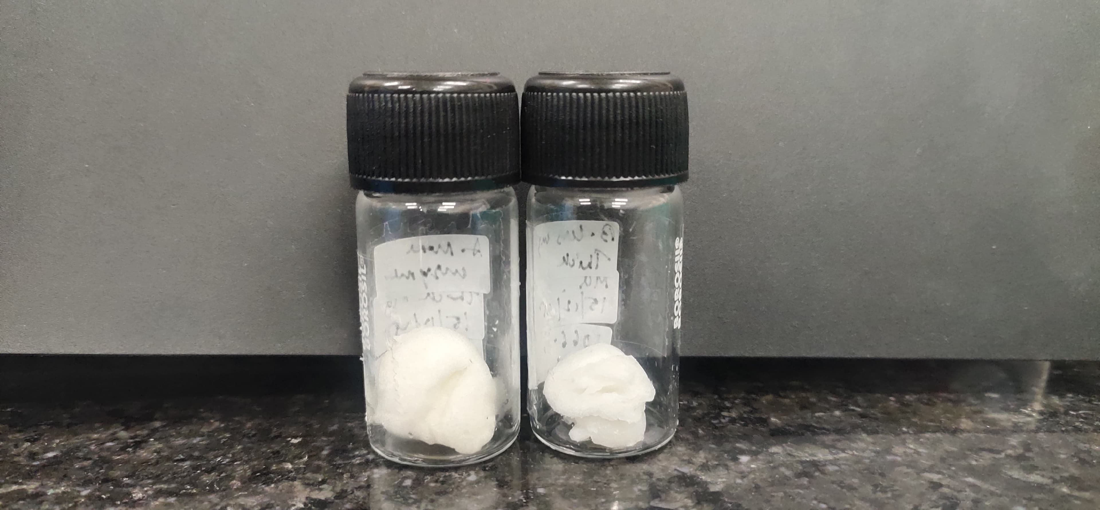Biomaterials & Regenerative Engineering Image 3