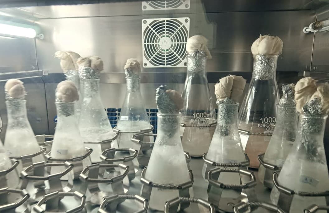 Biomaterials & Regenerative Engineering Image 4