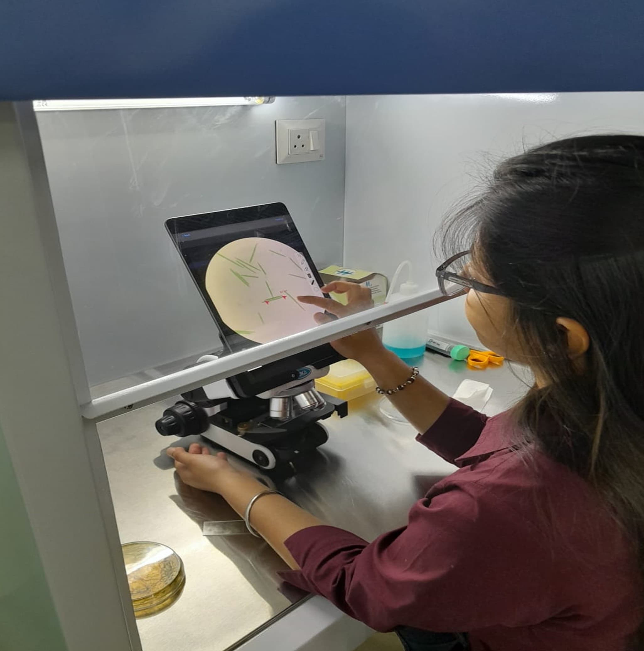 Bioprocess Scale-up & Product Recovery Image 2