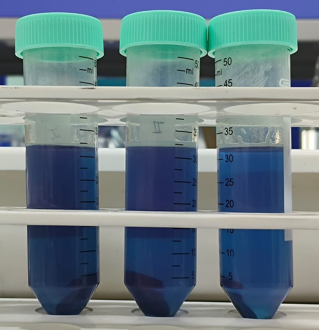 Bioprocess Scale-up & Product Recovery Image 4